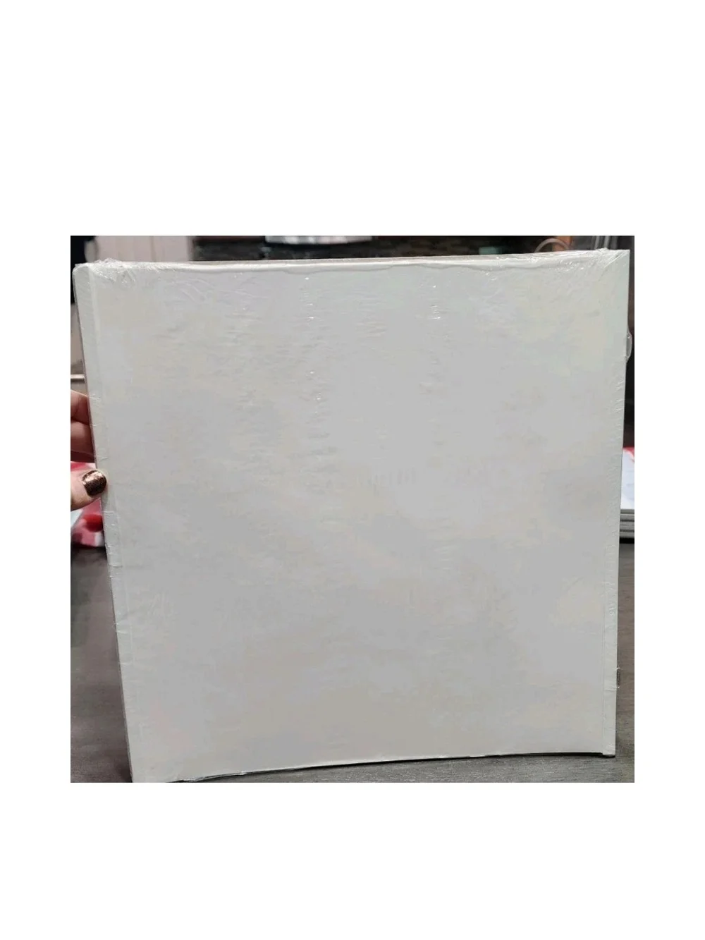 Creative Memories White Scrapbook Pages - White
